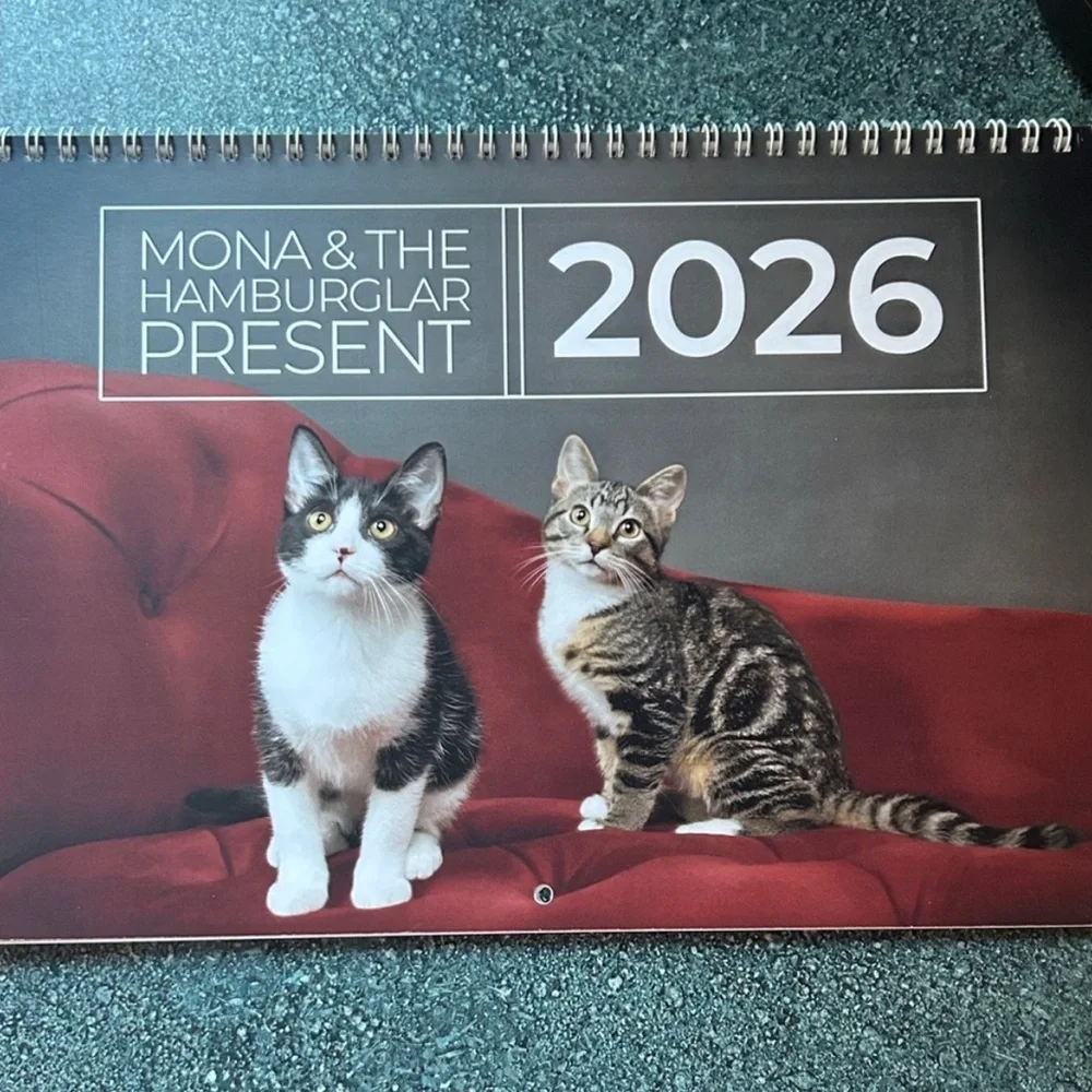 Cat Calendar 2026 NEW